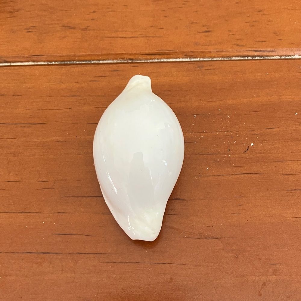 Shell